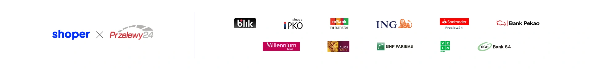 rodzaje płatności i banków obsługiwanych przez sklep